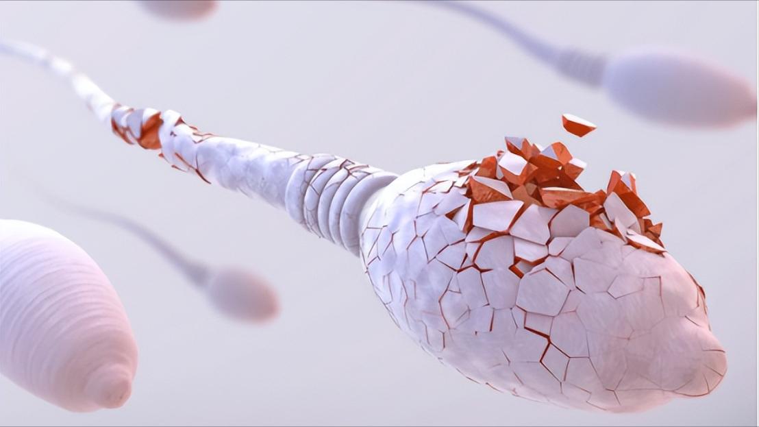 孕囊胎心胎芽多长时间可以看到,孕囊小但是有胎心胎芽还有希望吗