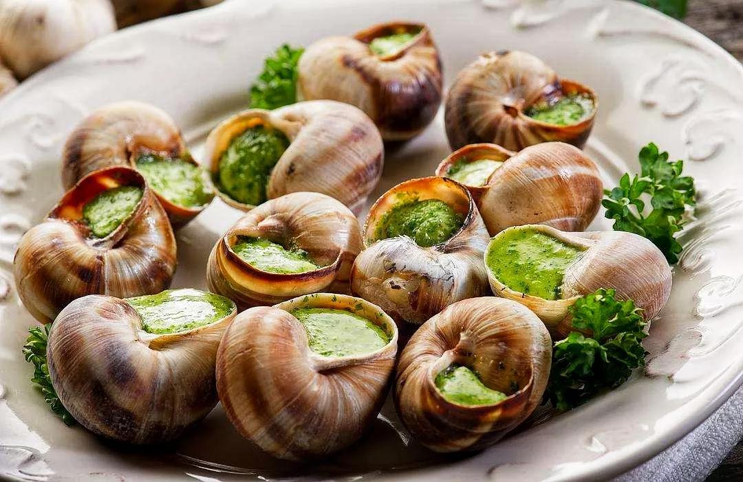 都是蜗牛，法国蜗牛与非洲蜗牛有啥不同？原来相差这么大，涨知识