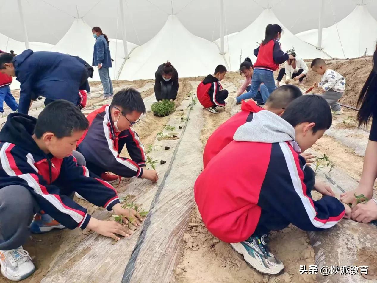 让孩子们的梦想从幼儿园启航,让孩子的梦想从这里启航