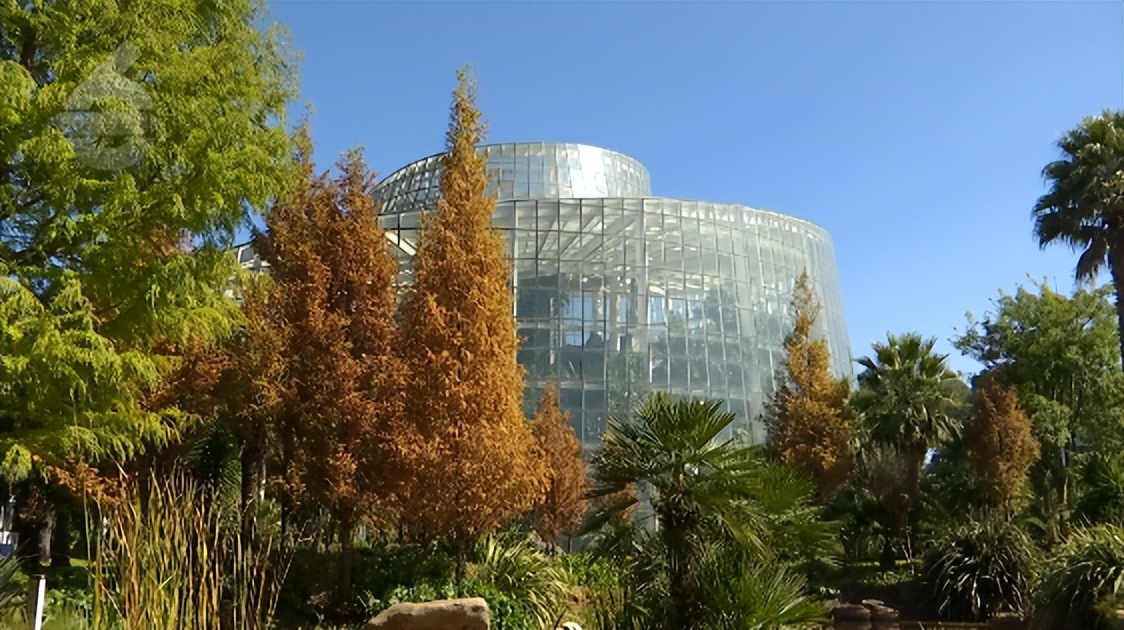 记者实地探访生活物资保障,记者实地探访封控区物资配送