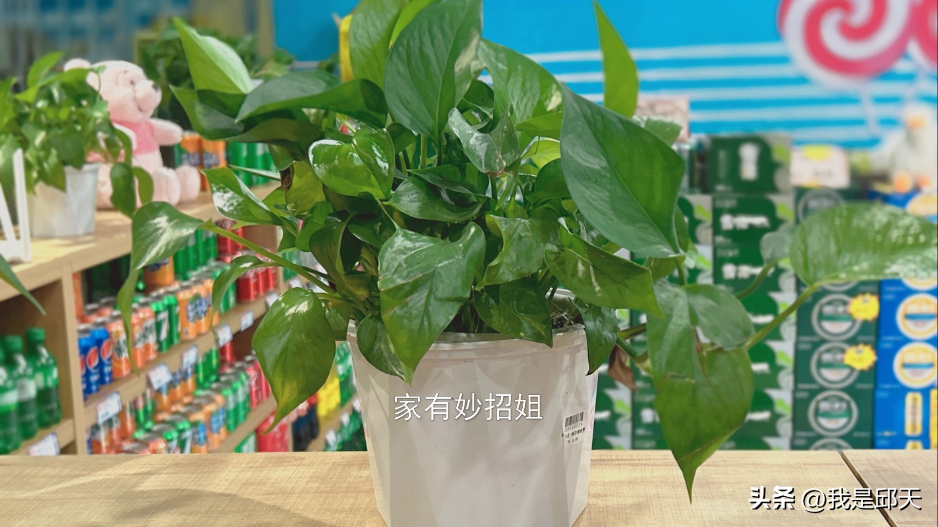 端午节不送礼是什么说法,端午节过了才给人送礼该怎么说呢