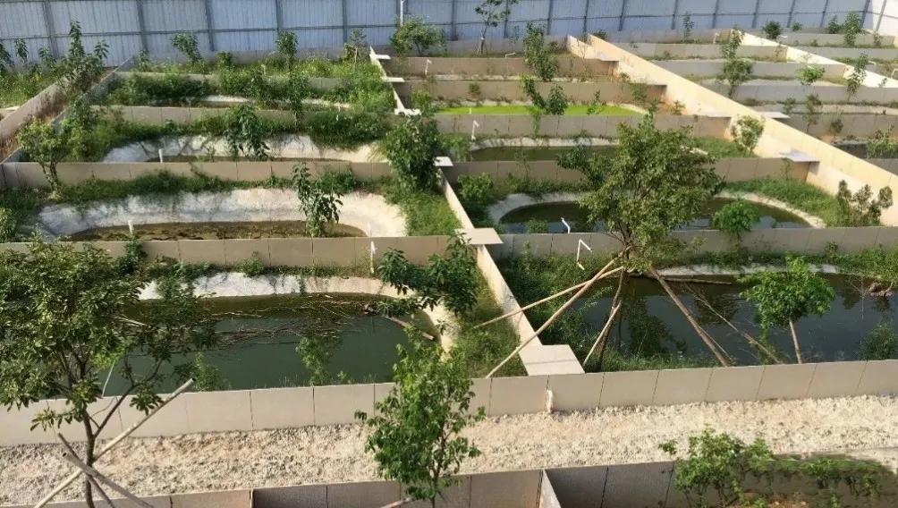 十大暴利养殖一个月能赚一万多,冷门养殖视频一年收入100万