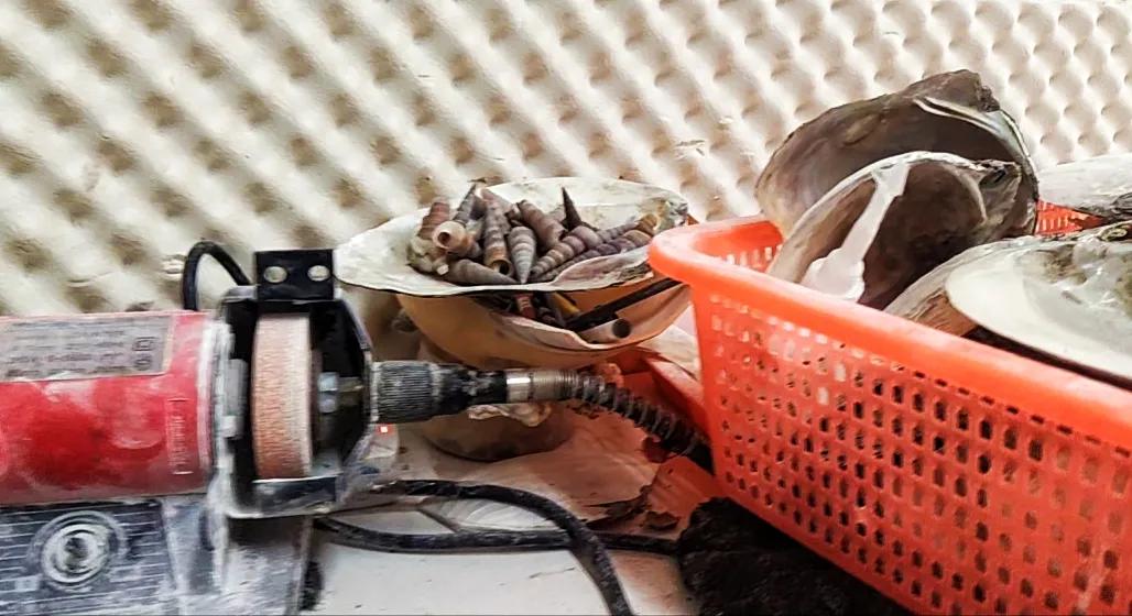 人靠衣装马靠鞍,人靠衣装马靠鞍对吗