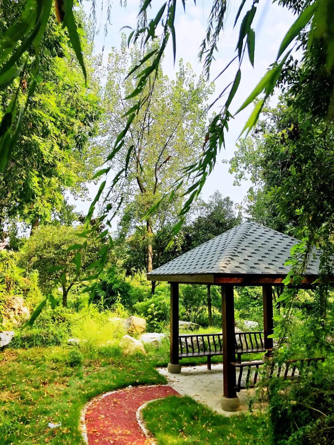 幸福成都美丽家园,幸福成都成就梦想