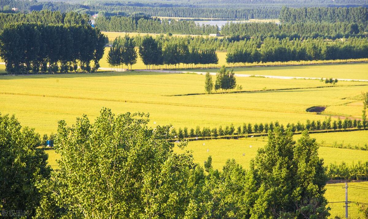 土地集中供应对房地产影响,土地政策对房地产影响