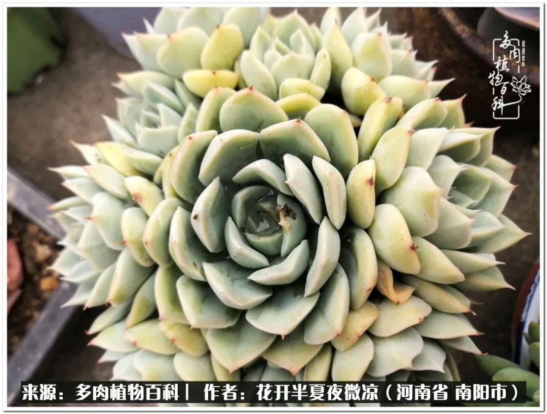 万事开头难只要坚持才有收获,万事开头难只要肯干就会有结果