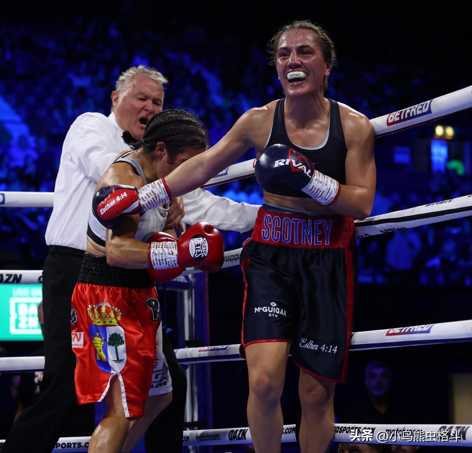 拳击预告,四月拳击赛事预告