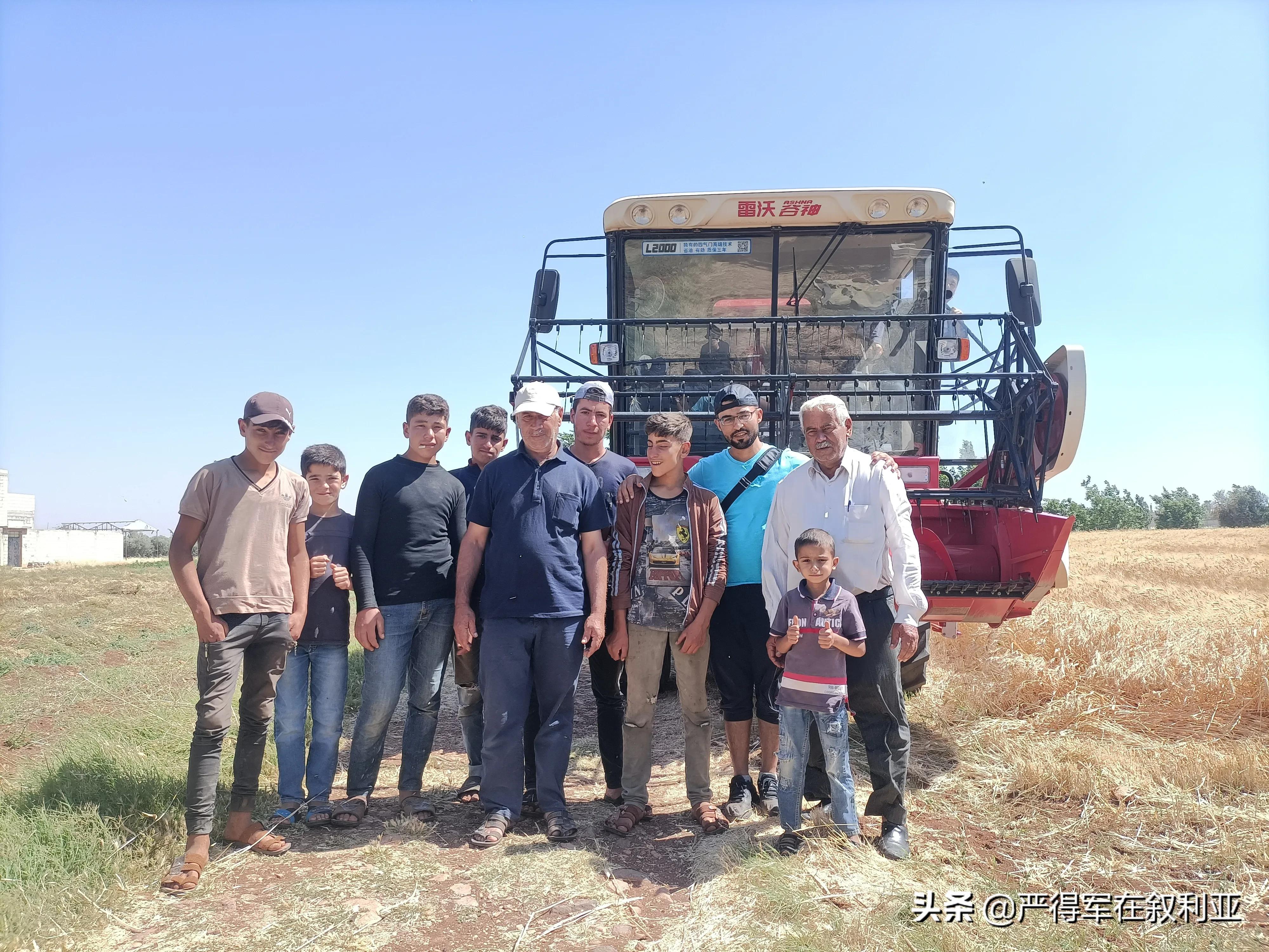 叙利亚农业商机,叙利亚农业发展商机