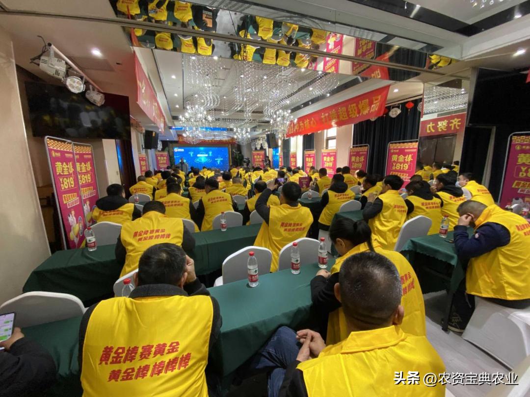 黄金棒819玉米种介绍,黄金棒YD819玉米种审定公告