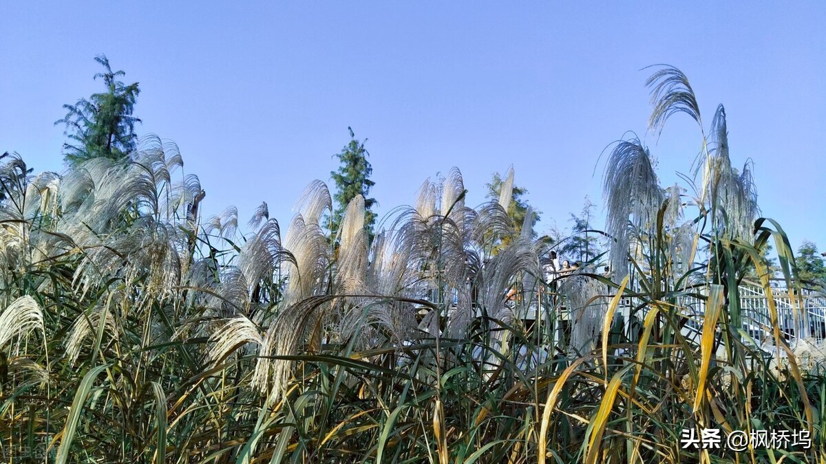预感不好的事情真的会发生,预感有不好的事情发生
