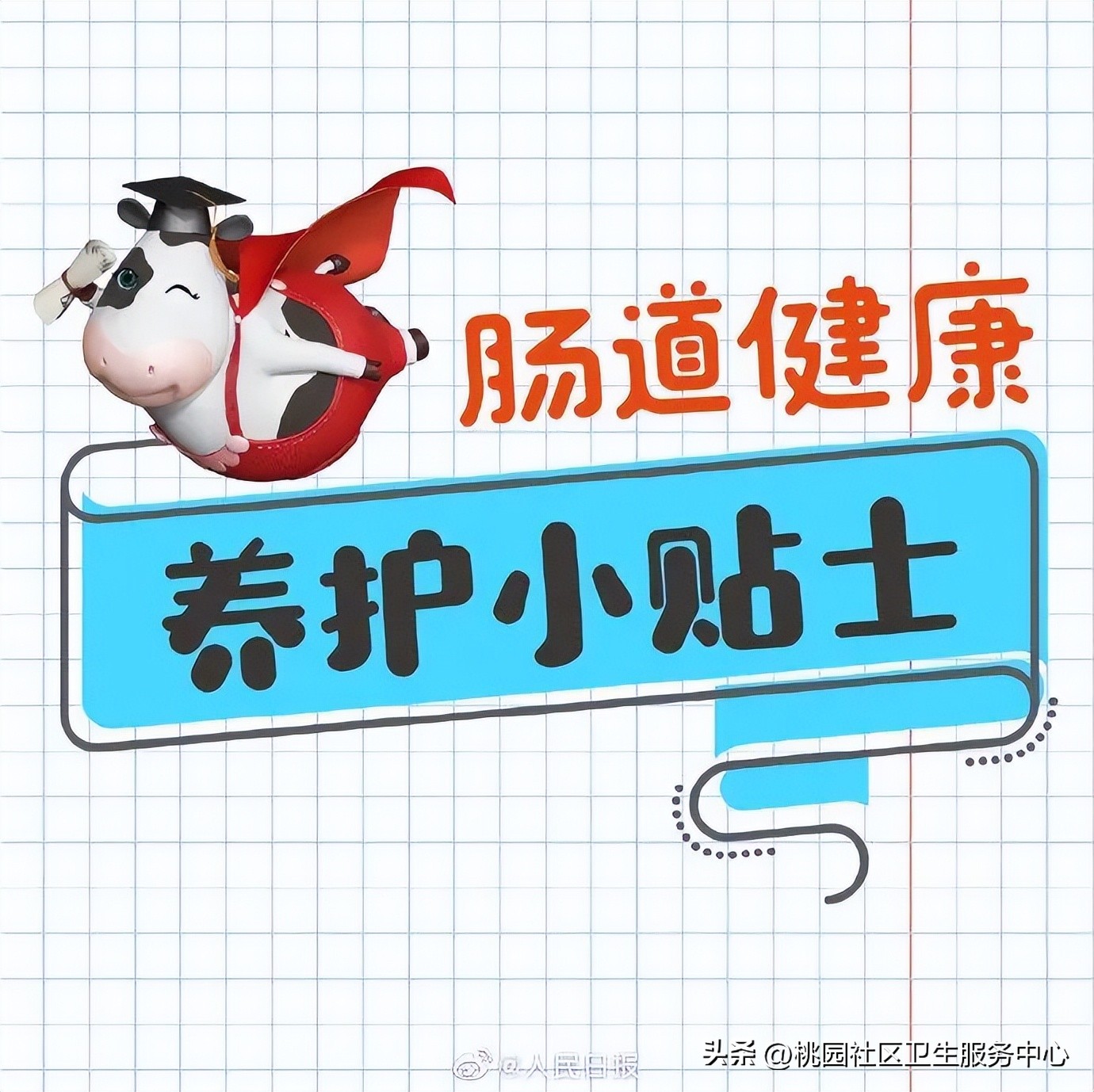 肠道健康日便秘,肠道紊乱便秘怎么调理