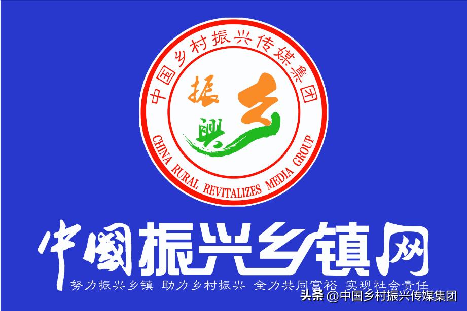 政府扶持乡村振兴的项目有哪些,2024乡村振兴政府补贴重点项目