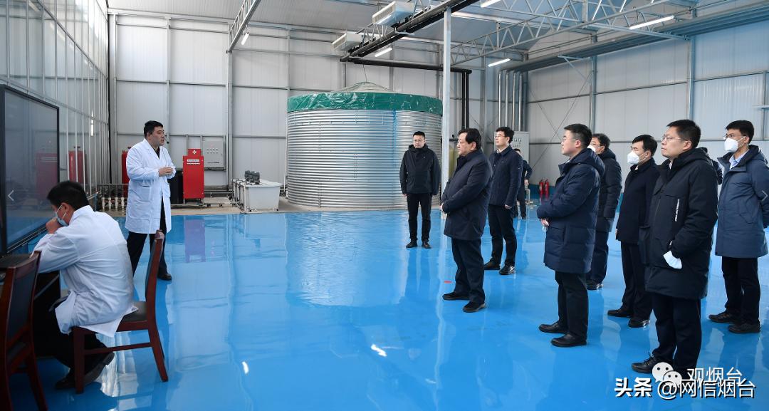 烟台农科院苹果苗品种,山东烟台苹果苗新品种