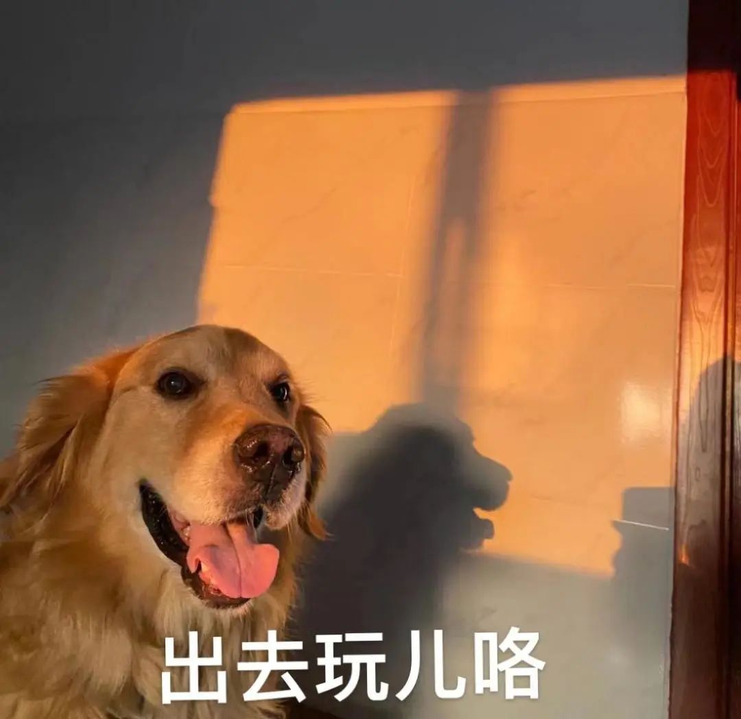 深圳如何快速办理香港签注,深圳香港签注24小时自助