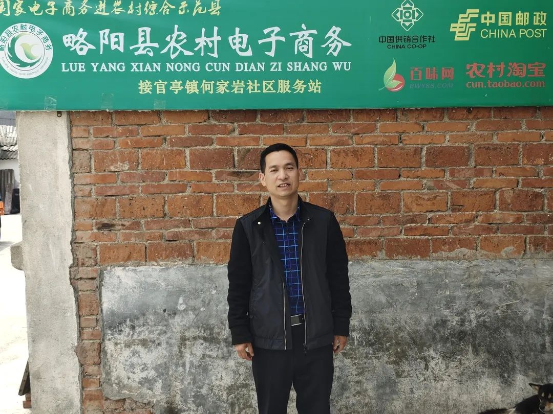 优秀电商站点展示|何家岩：电商携‘艾’出秦岭特色产业促增收