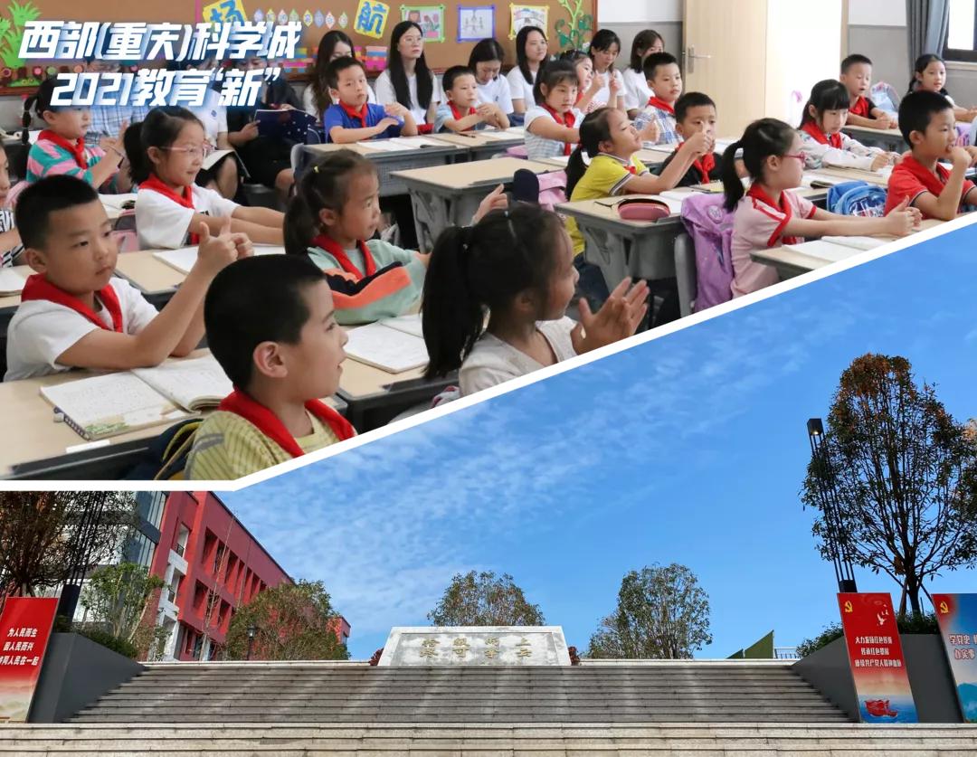 科学城片区学校,科学城教育机构