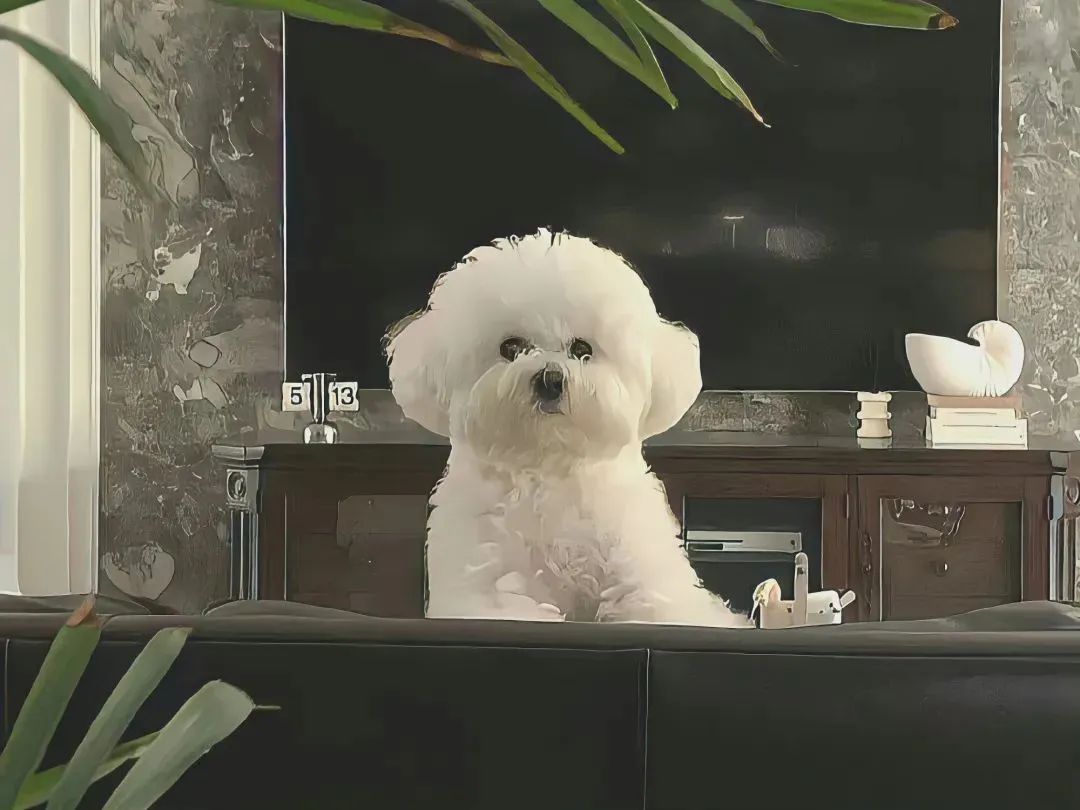 背景图小众高级,微信背景图小众高级温柔