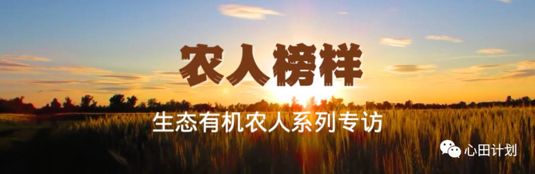 山东滨州“蛙声小镇”创始人闫洪明：用科技升维有机农业