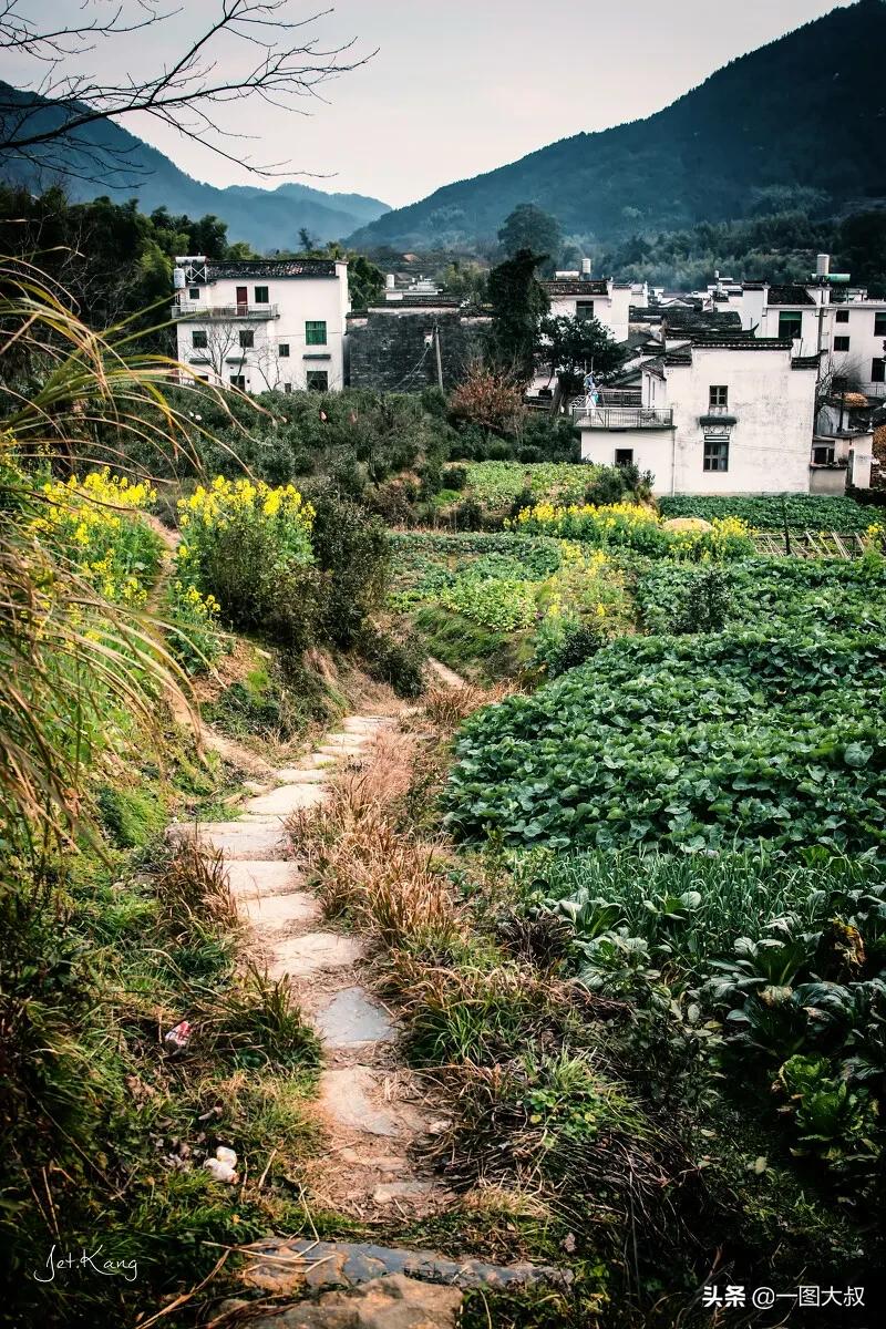 鏁ｆ枃涔℃潙鐢板洯,鏁ｆ枃涔″湡鎯呯粨