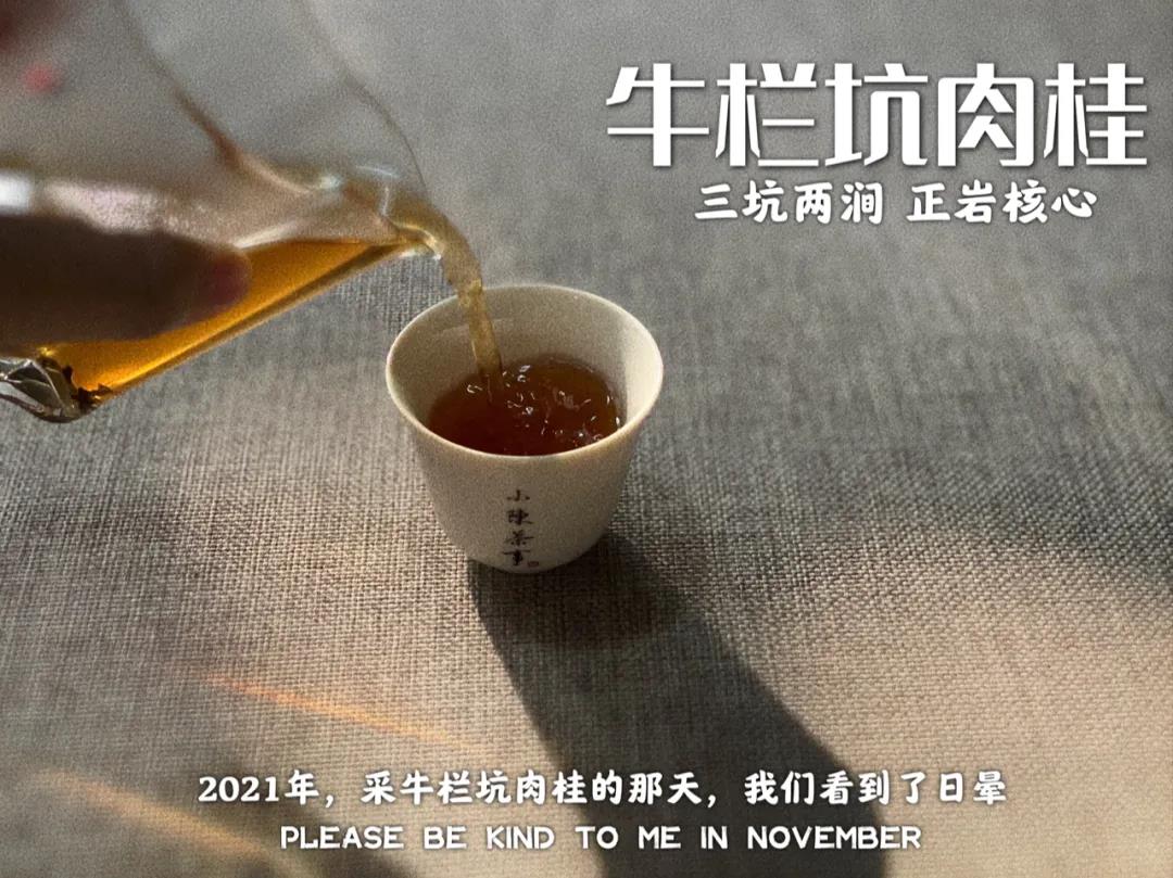 便宜的口粮茶是真的吗,因太便宜被嫌弃却是良心口粮茶