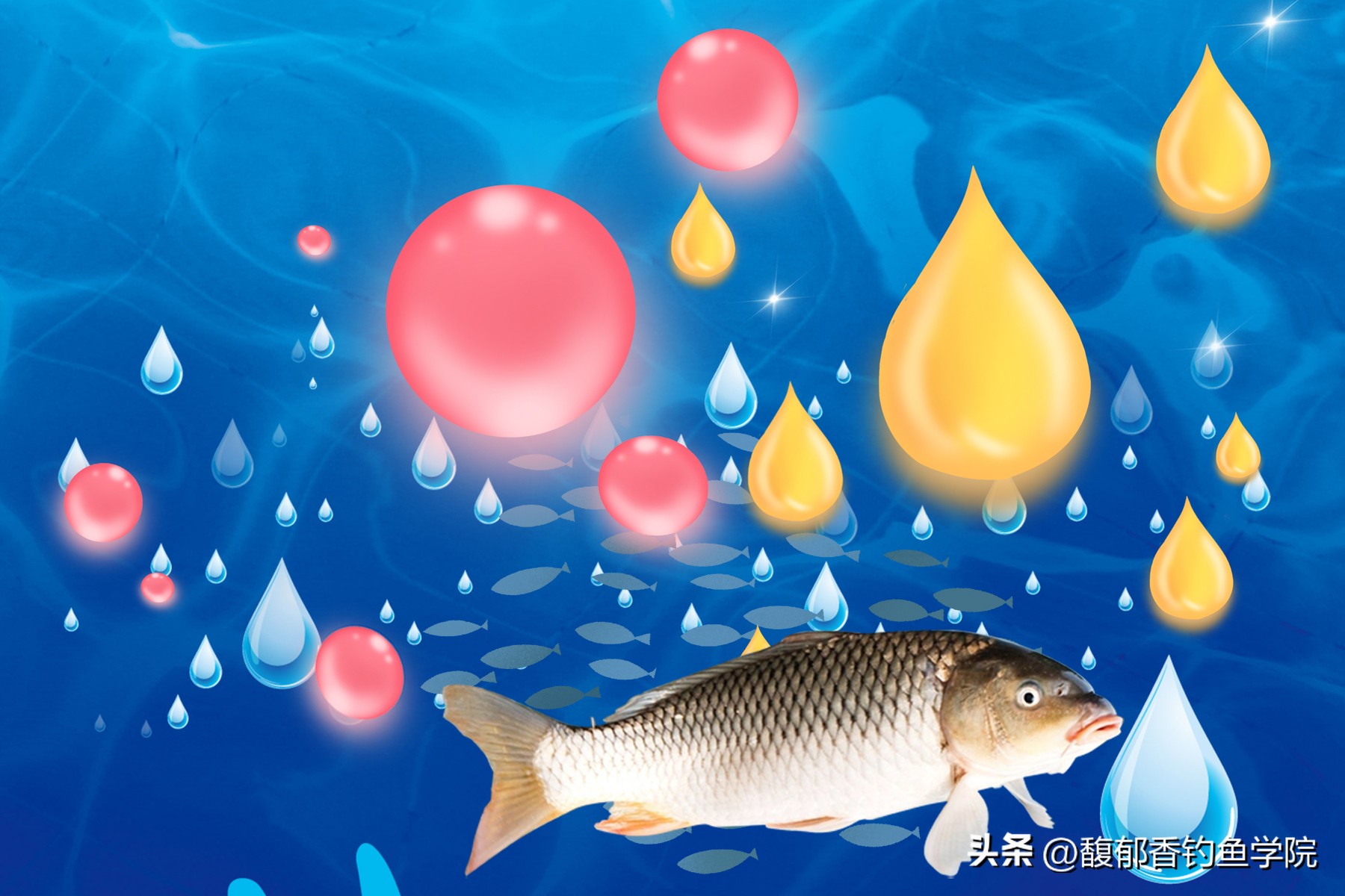 诱鱼剂正确使用方法,各种诱鱼剂的诱鱼范围