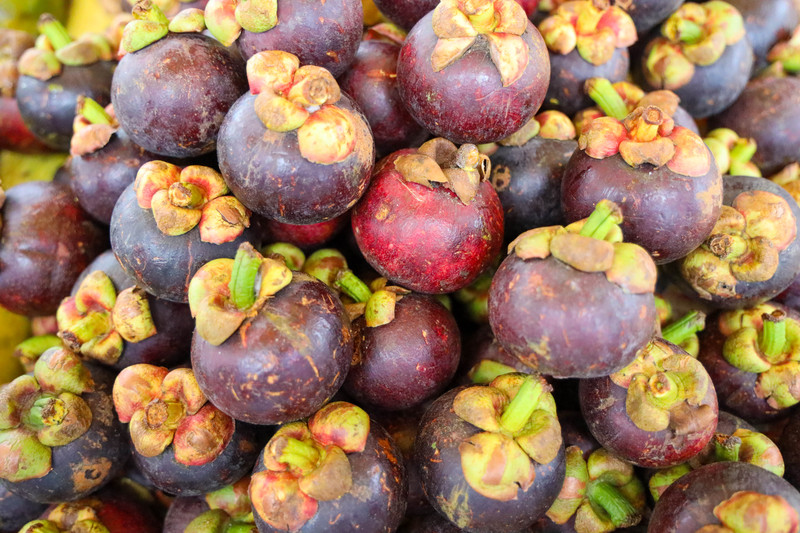 斯里兰卡旅游攻略必去景点,斯里兰卡旅游攻略最佳时间