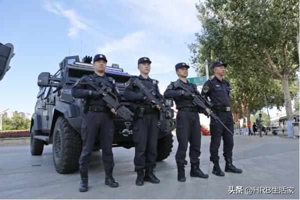 夏季治安打击整治百日行动重要性,夏季治安打击整治百日行动战果