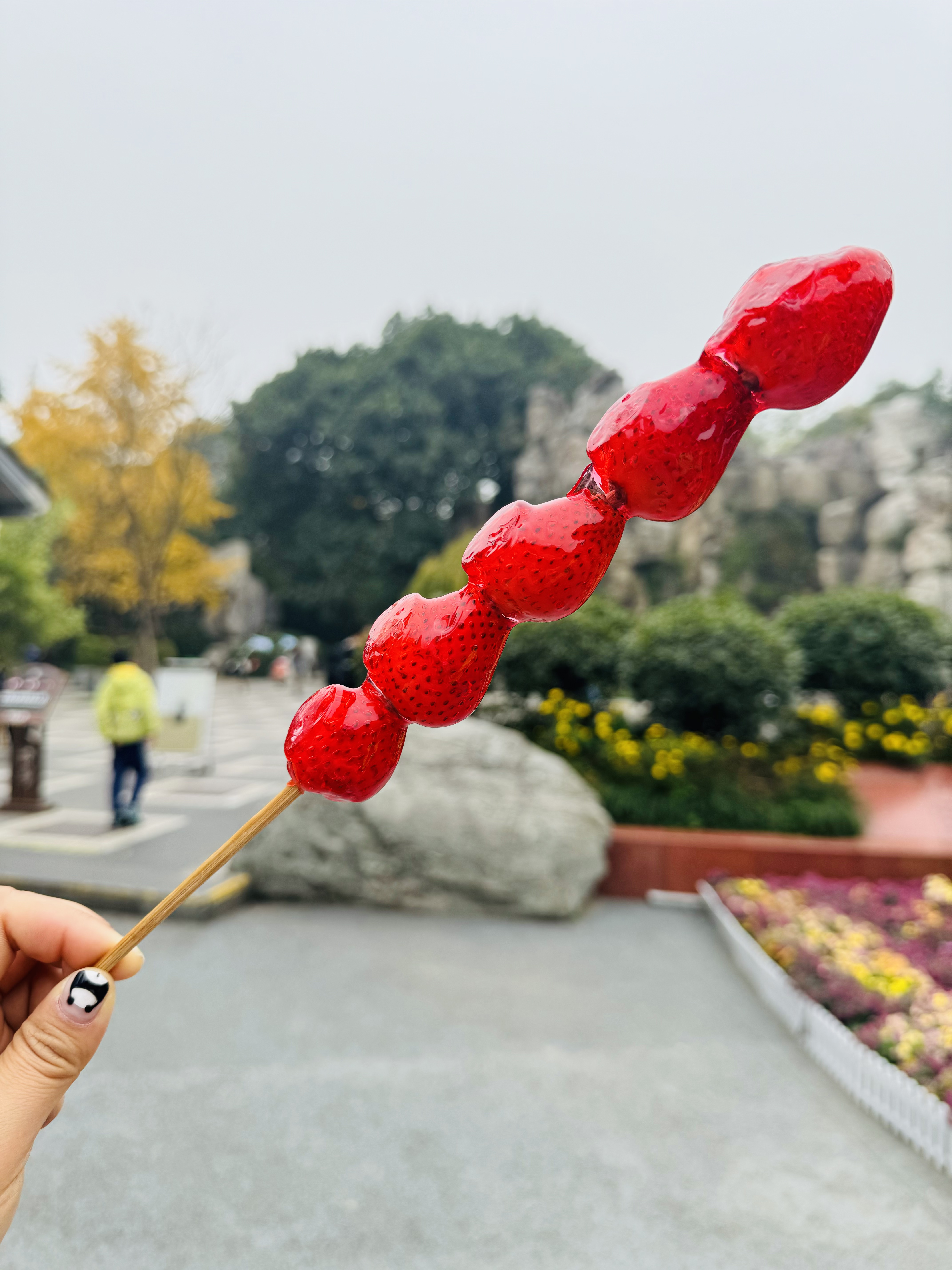 南京金融中心上班,南京外企打工人的一天