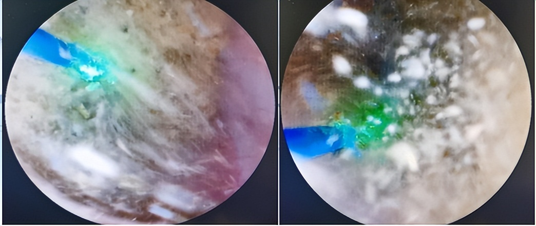 明知山有虎偏向虎山行神评论,明知山有虎偏向虎山行打一生肖