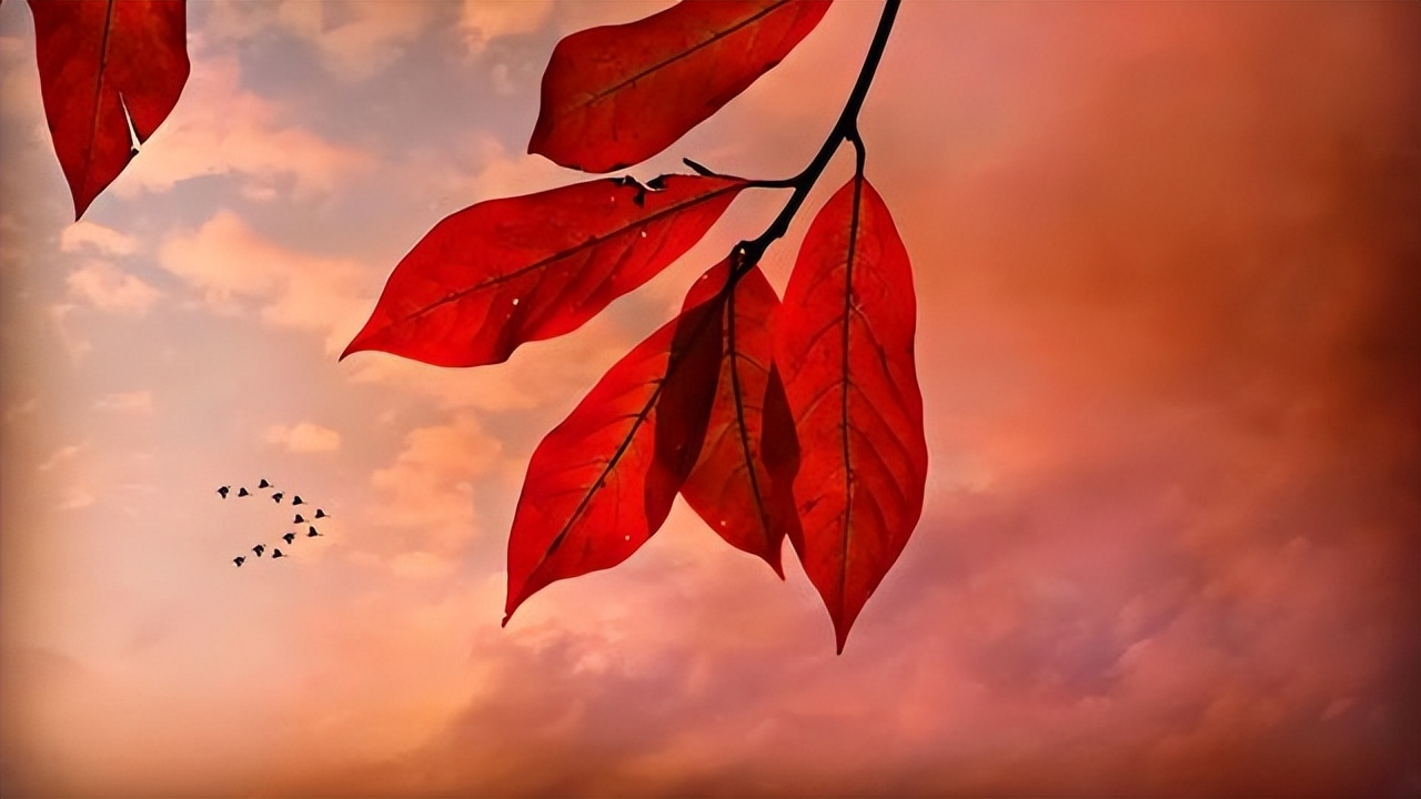 关于生活的10个真相，赶走你所有矫情