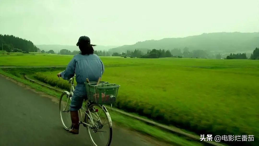 豆瓣9.0，日本乡间简素的一餐一饭，治好了无数人的“精神内耗”