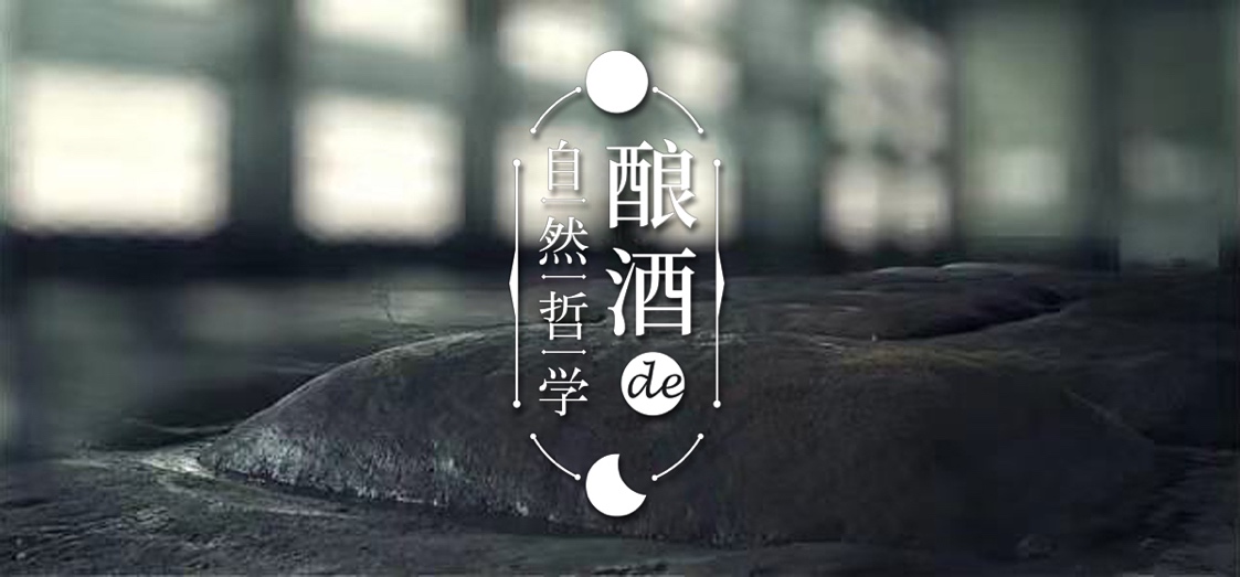 泸州老窖节气,24节气酒文化