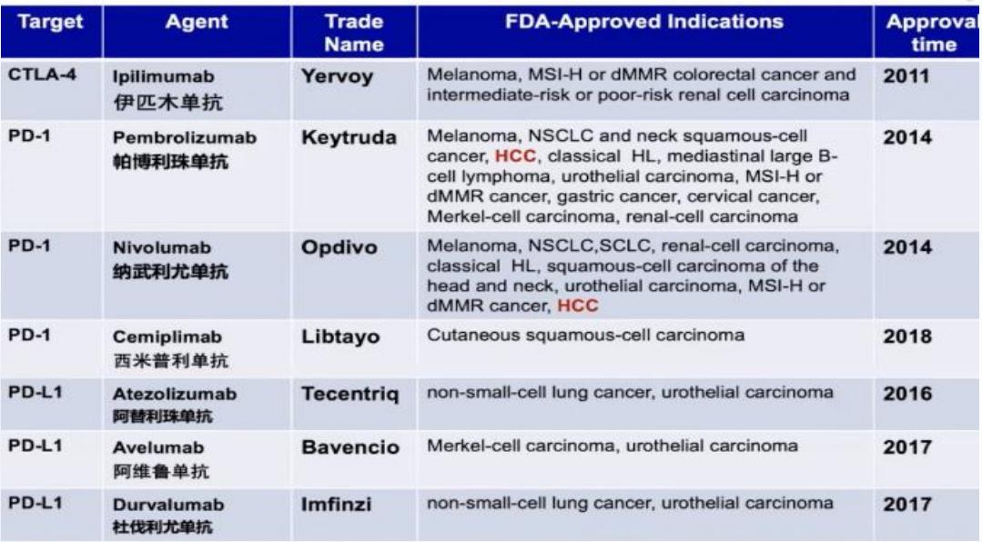 谢雯教授,谢雯长沙医学院