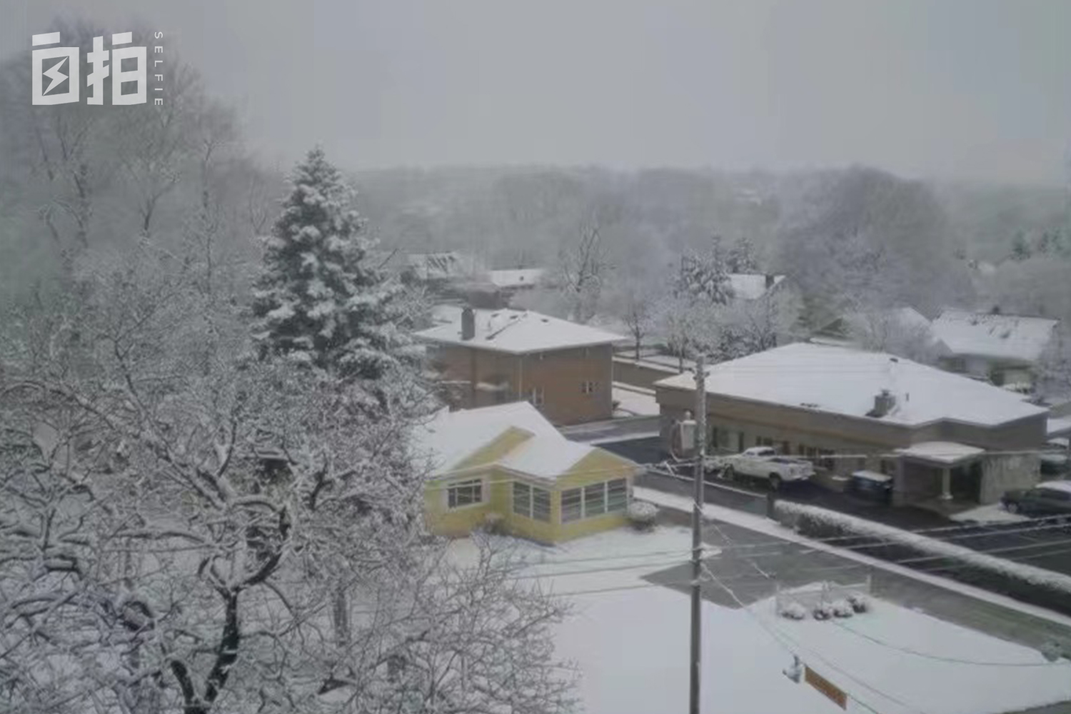 我,河南女老板,远嫁美国放弃工作,为财务独立,9年后重新工作