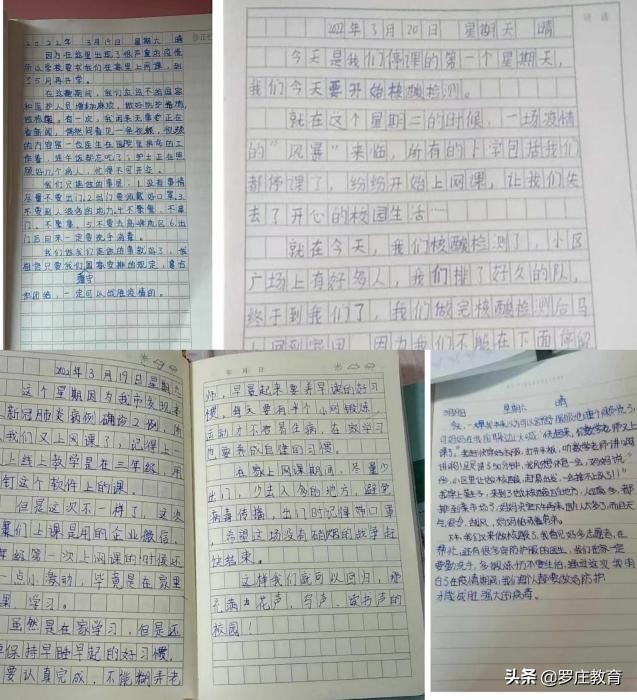 一起向未来小学版完整教学视频,临沂湖南崖小学教学质量