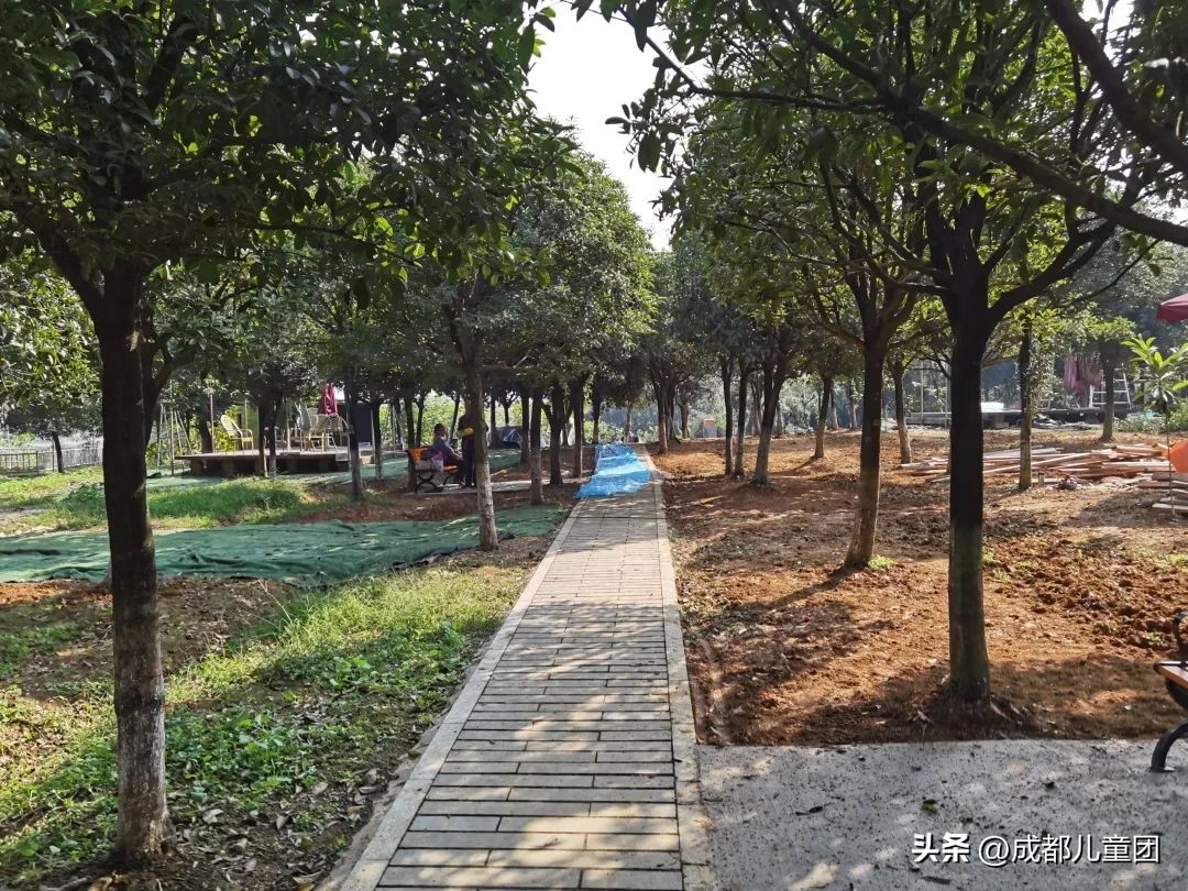 摘草莓橘子的地方推荐,附近摘橘子的地方推荐