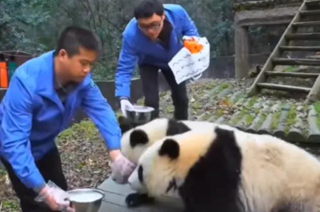 考古爱宝,考古爱宝的童年经历