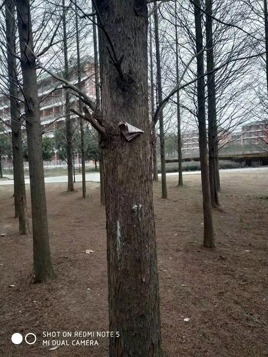 散文诗歌大全100首,父亲写的散文诗完整版