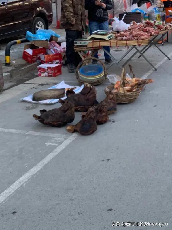 生活本就是不停的奔波,元旦将至忙忙碌碌