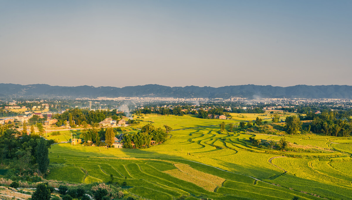 蜜蜂在蜂箱里声音很大是什么原因,蜜蜂在蜂箱发出整齐呼呼的声音
