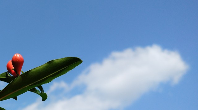 旺自己的18个小妙招,旺自己的40个小妙招