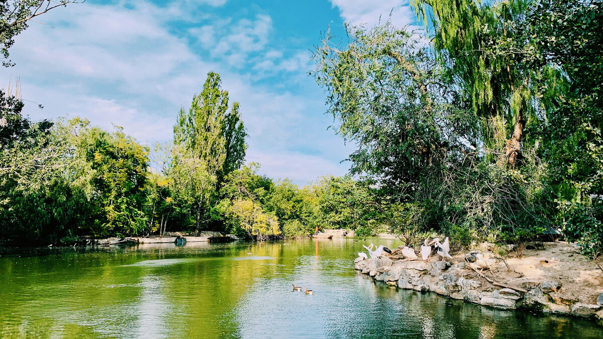 一家老小成都到北京旅行游记5-第六日-北京动物园、海洋馆行程