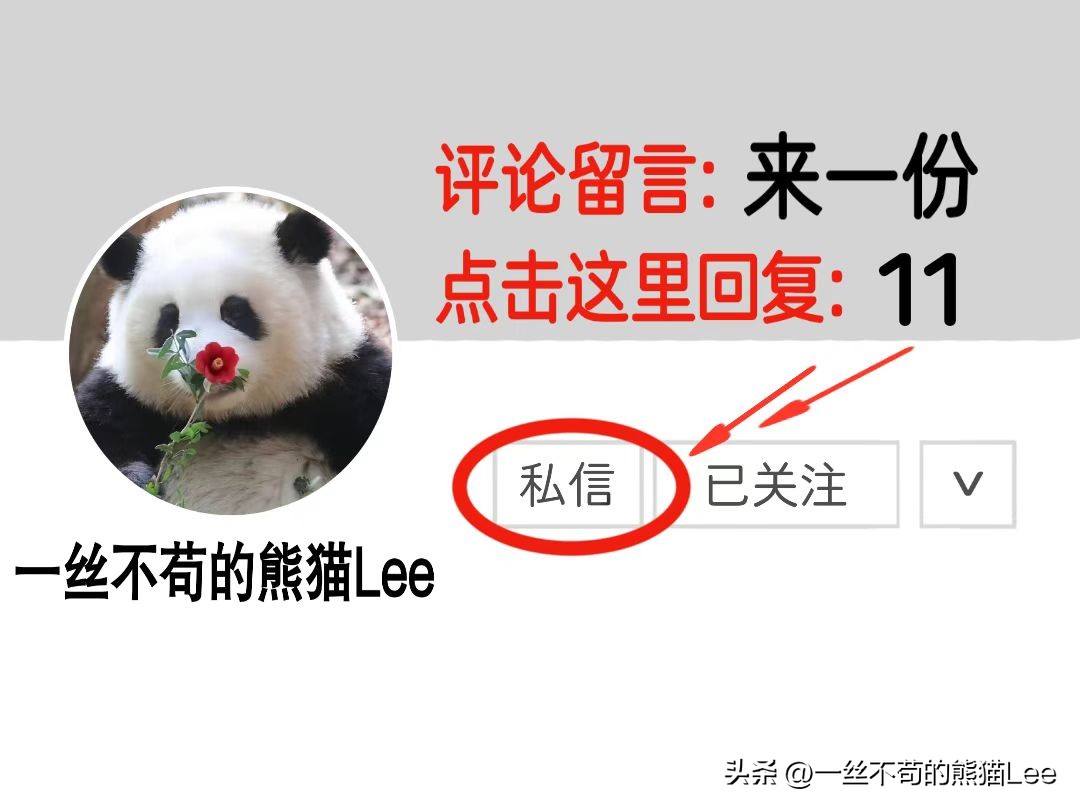 最新专业分包合同范本,专业分包补充合同范本