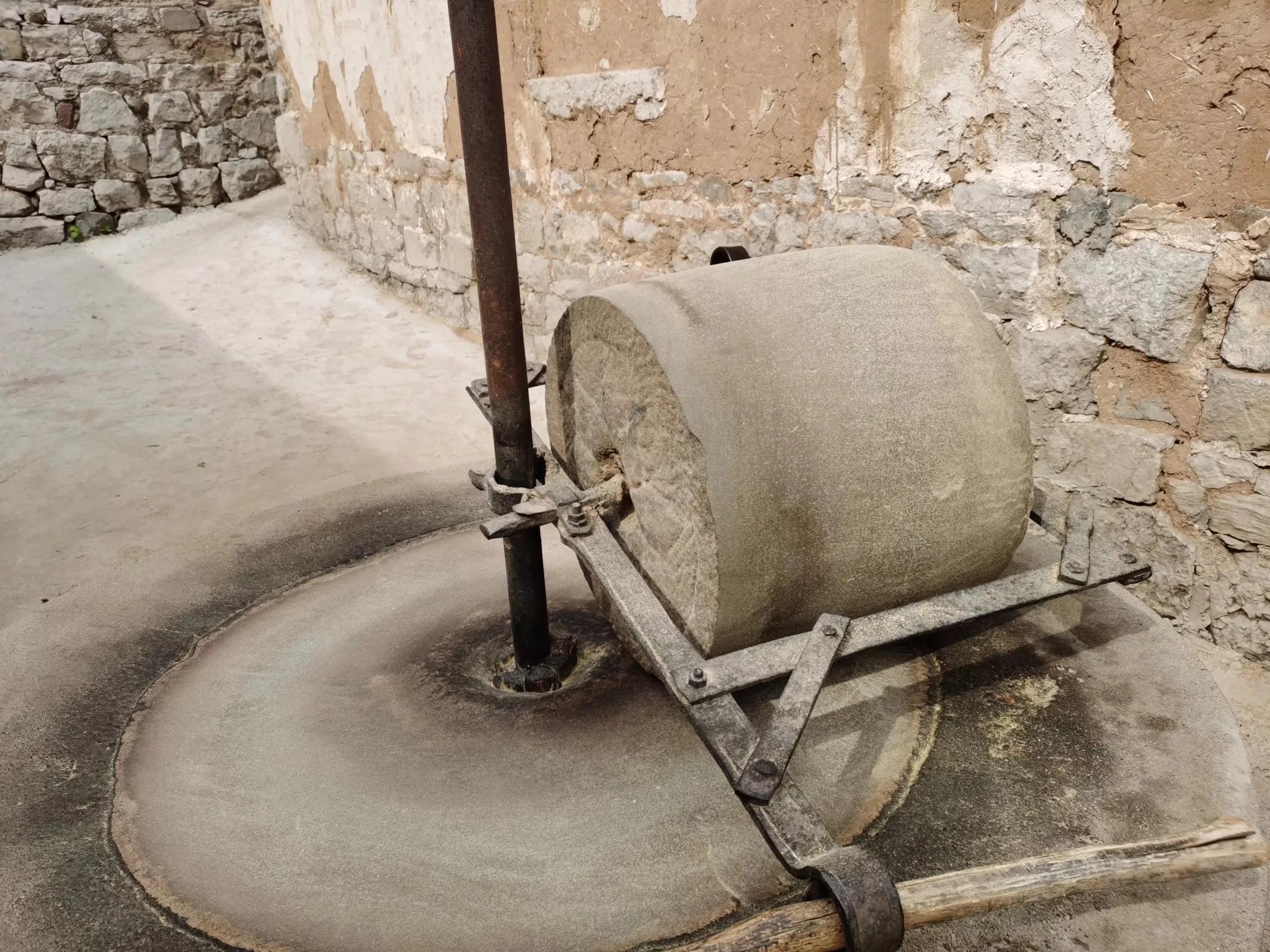 老家的香椿树的味道,老家的香椿树歌曲