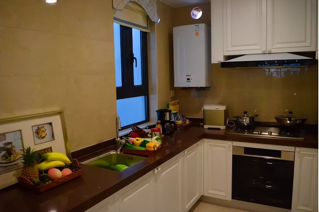 葵花药业创始人,葵花药业发家史