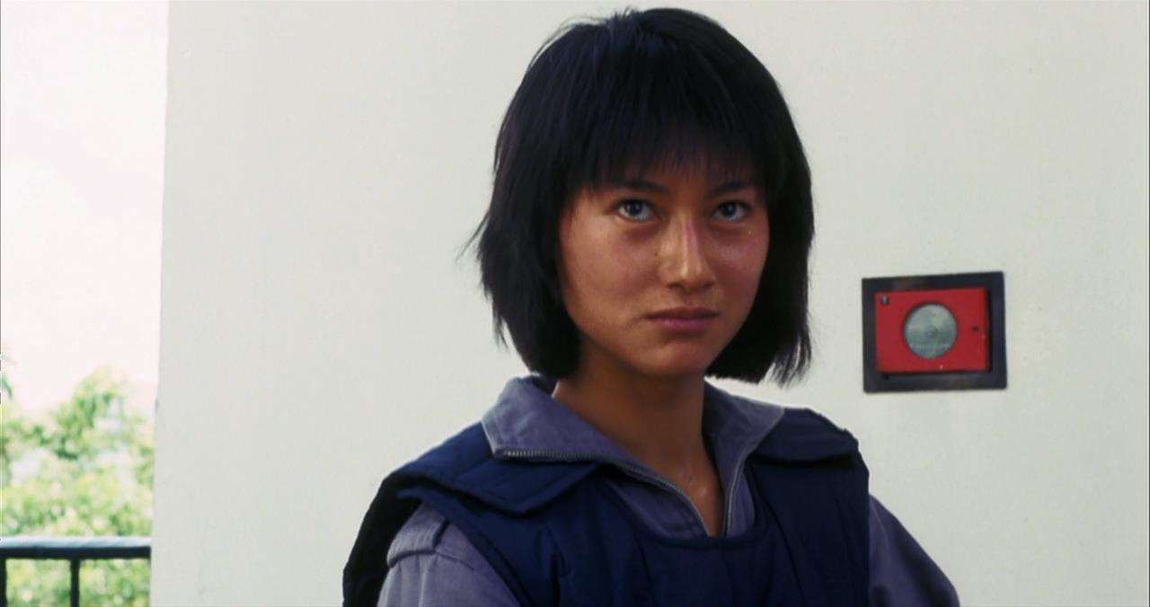 霸王花1988年,霸王花90年代