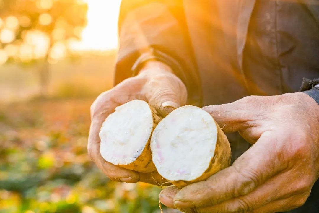 有颜值有内涵人居环境,有颜有格调有料有品质