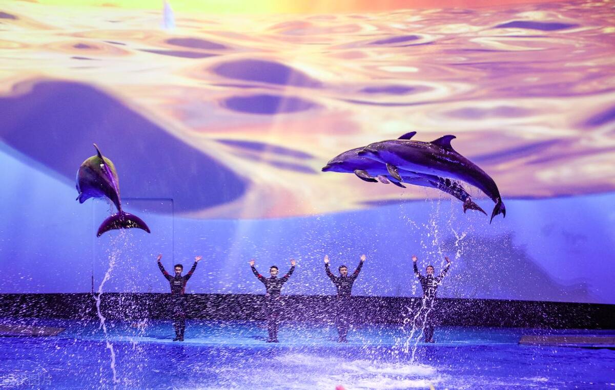 青岛周边十大景点排行榜,冬天青岛必去十大景点