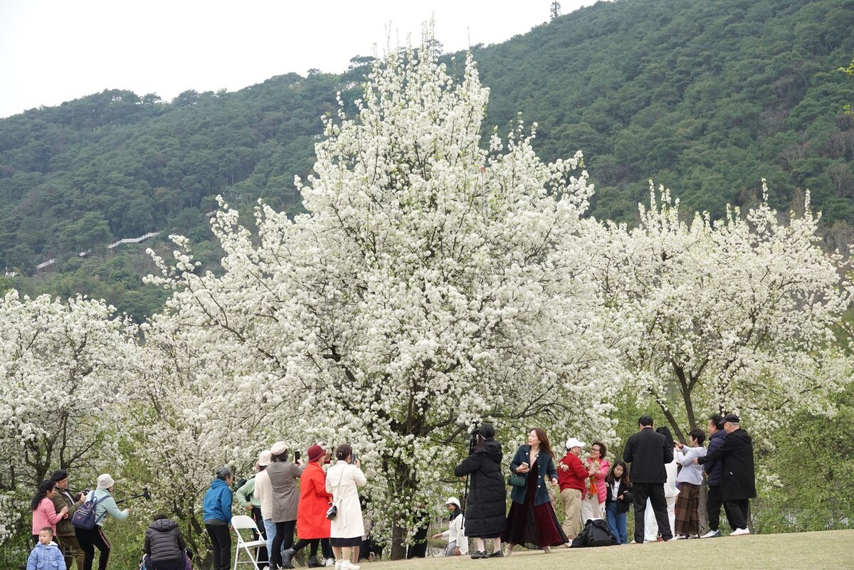 南宁必去十大景点排名,南宁旅游必去十大景点排名最新