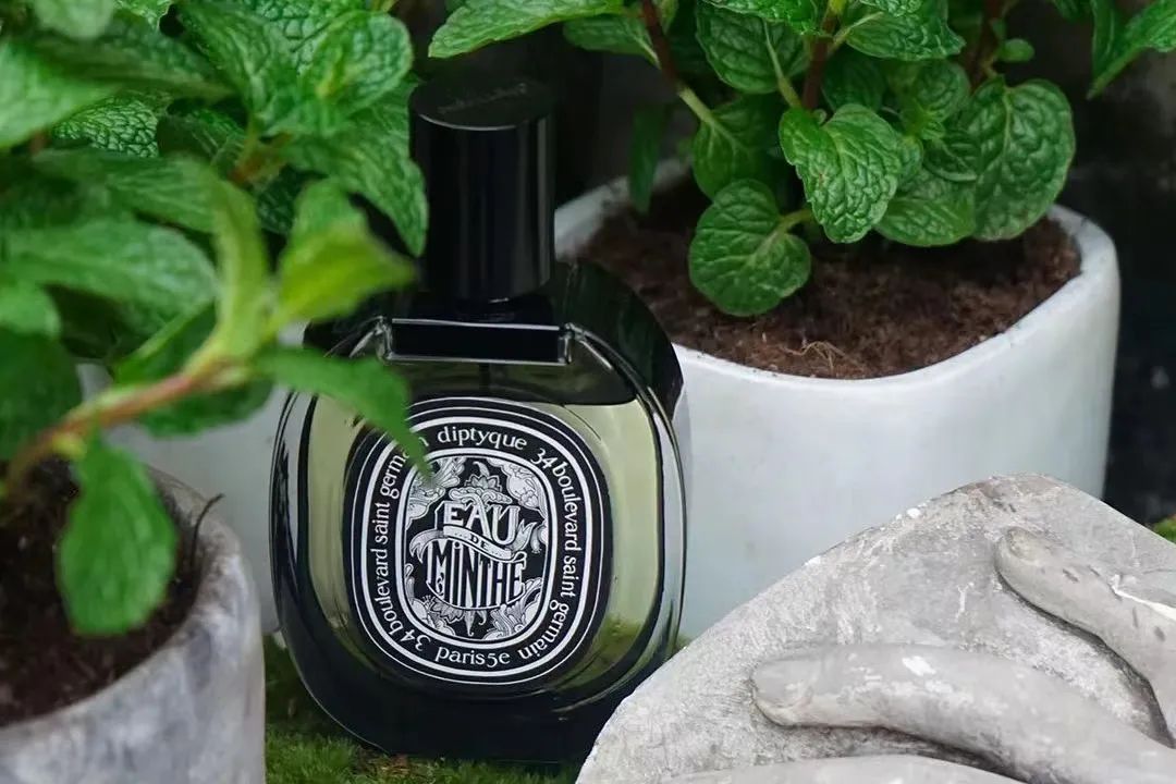 女神节感受春的气息,女神节芳香醉人